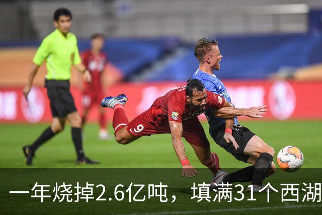 一年烧掉2.6亿吨，填满31个西湖！中国的垃圾，不够烧了？