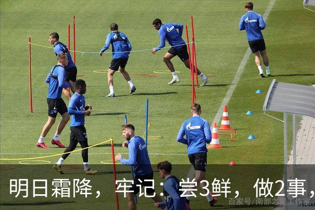 明日霜降,牢记:尝3鲜,做2事,忌2样,遵循时令而养,温暖滋润入冬