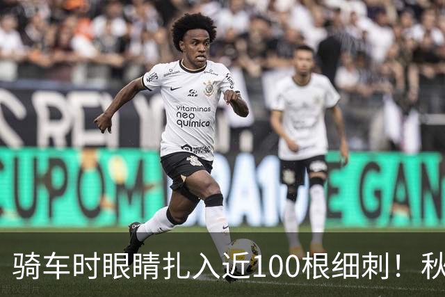 骑车时眼睛扎入近100根细刺！秋季多见，北京、上海、杭州接连有人中招，专家提醒→